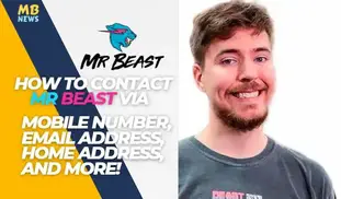 The MrBeast And Chris Partnership: A Friendship That Produces Incredible  Content