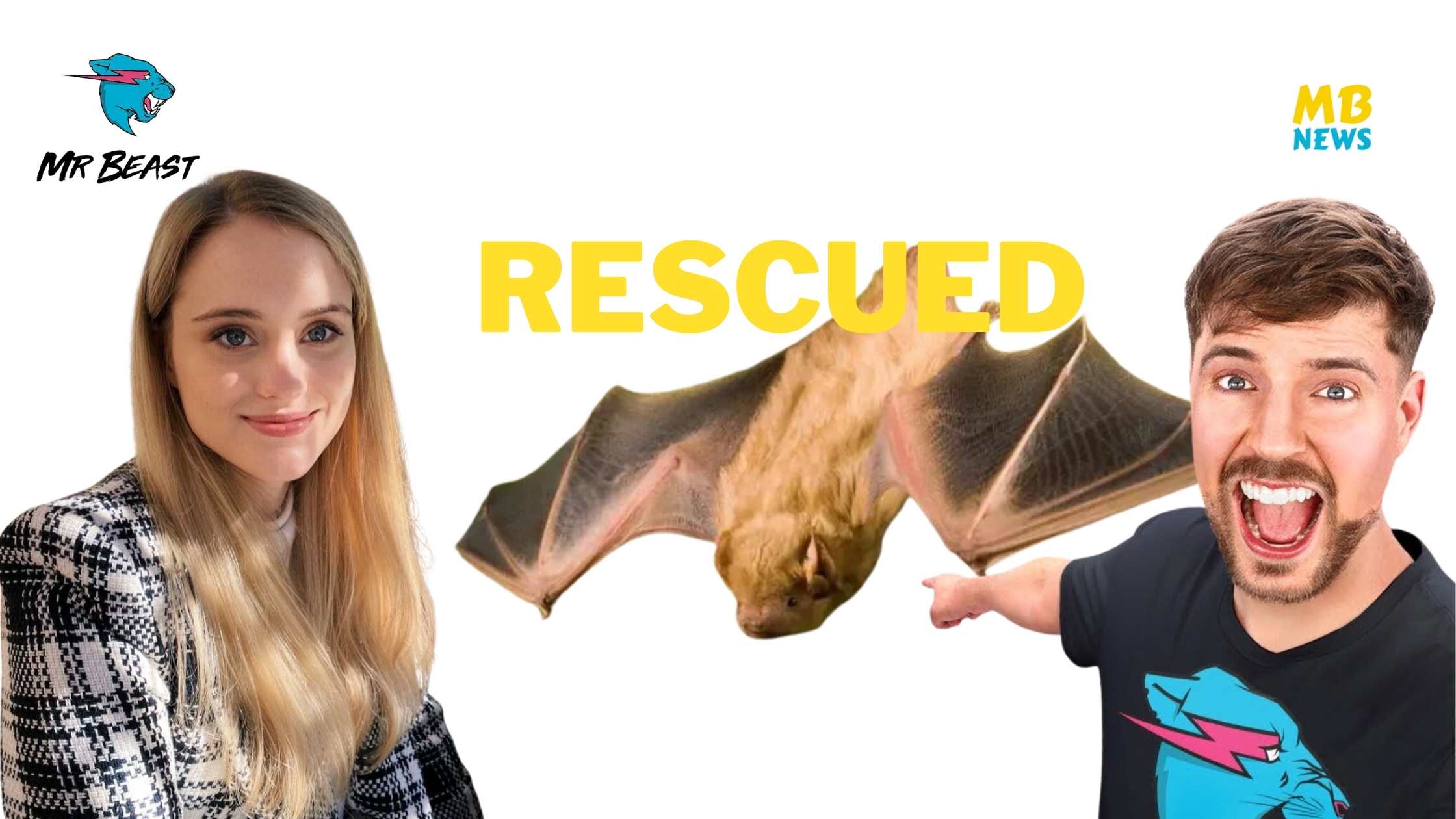 The Heartwarming Rescue and Release of a Baby Bat: Thea Booysen's Compassionate Journey