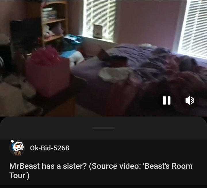 Uncertain Existence: The Mystery of MrBeast's Alleged Sister and Room Tour