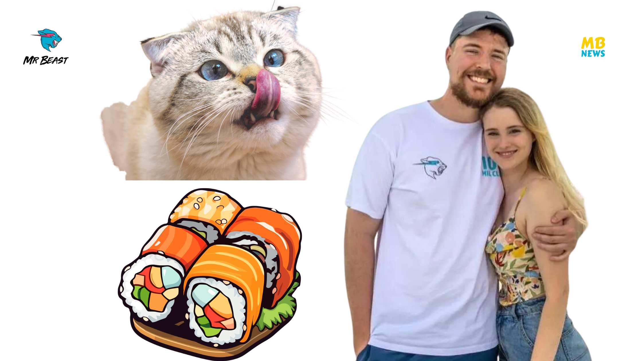 MrBeast and His Gf Thea Booysen Feeding a Cat $10 VS $10k Sushi!