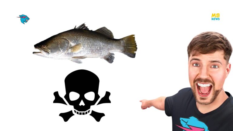 Daring Pufferfish Gauntlet: MrBeast and His Friends Tried the World’s Most Poisonous Fish!