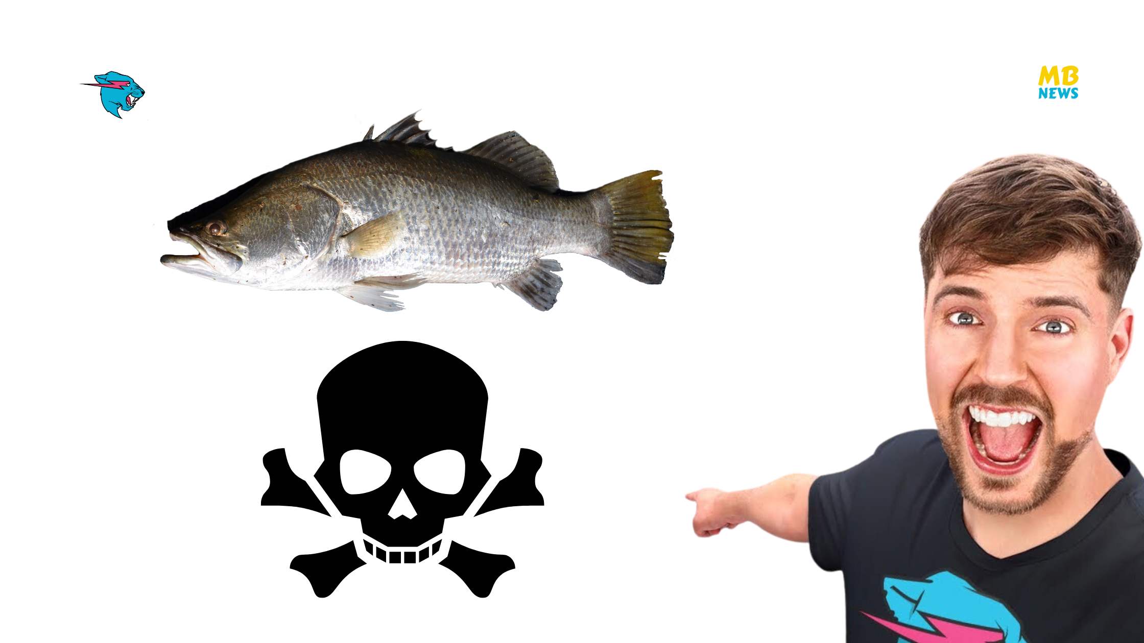 Daring Pufferfish Gauntlet: MrBeast and His Friends Tried the World's Most Poisonous Fish!