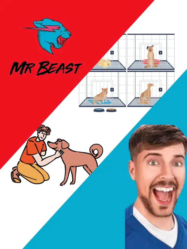 MrBeast & Team Revamp Thai Dog Shelter, Enable Paralyzed Dogs to Walk Again!