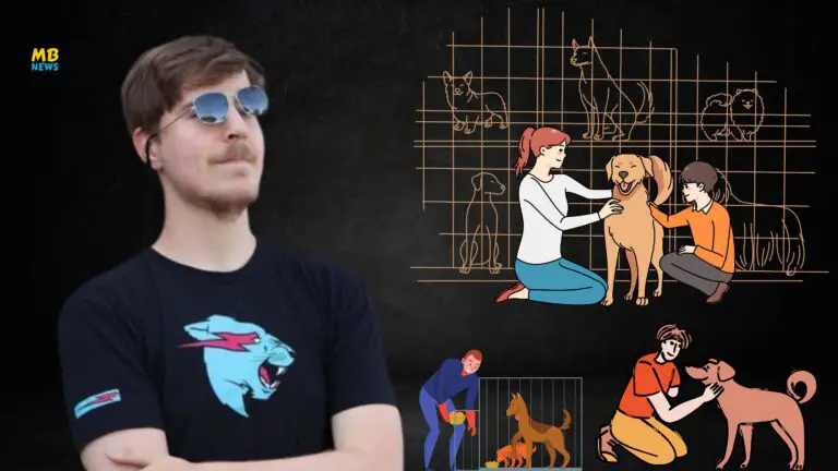MrBeast’s Heartwarming Mission: Rescuing 100 Dogs to New Homes!