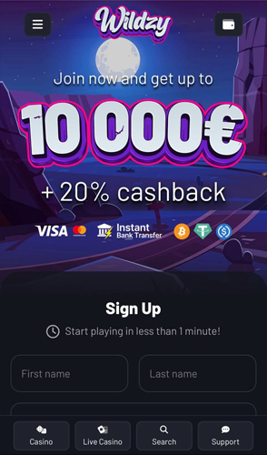 Wildzy Casino Review 22 wildzy scr