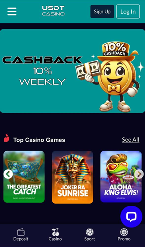 USDT Casino Review 22 usdtcasino scr